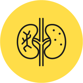 糖尿病 插圖打包檔_A
